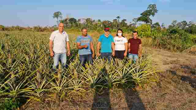 Ismael Crispin apresenta PL que intitula Cujubim como capital do Abacaxi