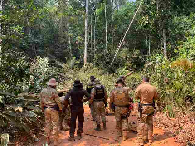 PF faz prisão de homem armado durante operação de combate a exploração de madeira na Terra Indígena Roosevelt
