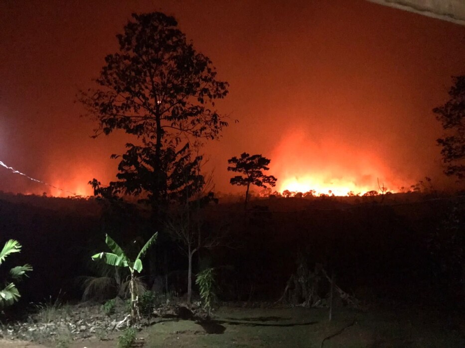 PF prende homem que seria responsável por incêndio de grandes proporções na reserva Margarida Alves