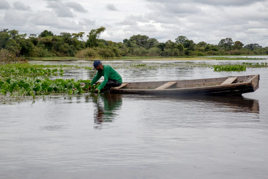 Sedam suspende até março captura e transporte de oito espécies de peixes na maioria dos rios de Rondônia