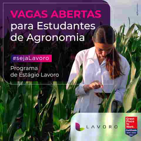 Programa de estágio Lavoro 2022 tem vagas para Rondônia