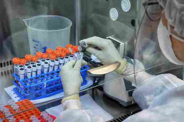 Rondônia registra mais 459 casos de covid-19 e 6 mortes nesta terça-feira