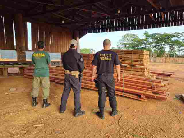 Operação Fake Wood: PF investiga esquema de fraudes que pode ter causado prejuízos de mais de R$ 15 milhões