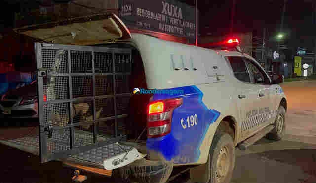 Ladrão é preso com moto roubada de enfermeira; veículo tinha rastreador