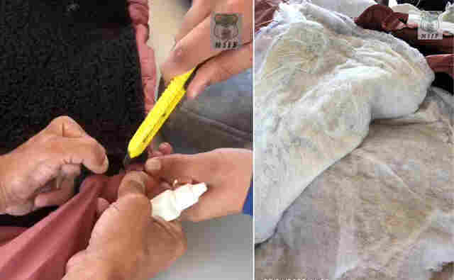 Em Guajará, mulher é presa com dois quilos de cocaína engomada em jaquetas