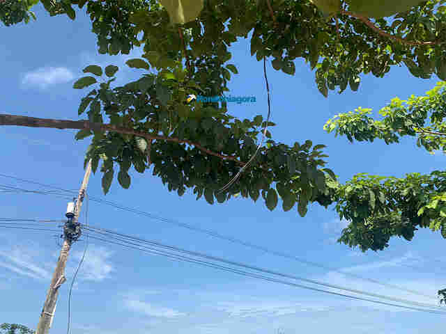 Ladrões furtam 800 metros de fios de trecho da avenida Guaporé e prefeito faz apelo