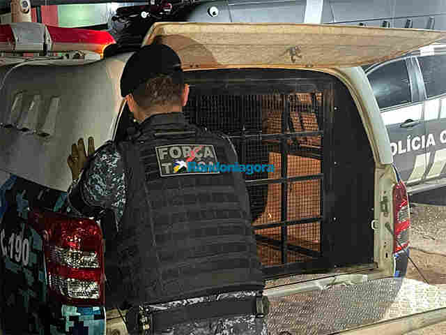 Valentão é preso após agredir a esposa e ameaçar enteada