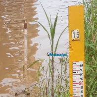 Madeira registra 13,40 metros nesta quarta-feira, mas técnicos voltam a descartar grande enchente na capital