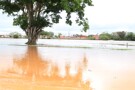 Nível do rio Machado ultrapassa os 11 metros de profundidade em Ji-Paraná