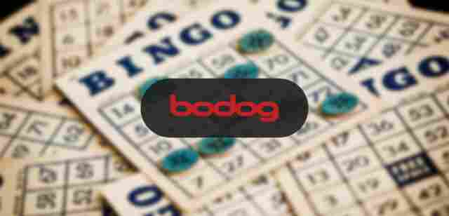 Jogo de bingo online: como apostar na Bodog