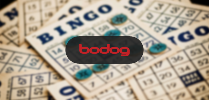 jogar video bingo gratis