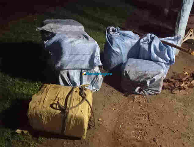 Vídeo: PM de Rondônia, Polícia do Mato Grosso e PF apreendem cerca de 400 quilos de cocaína jogadas de avião