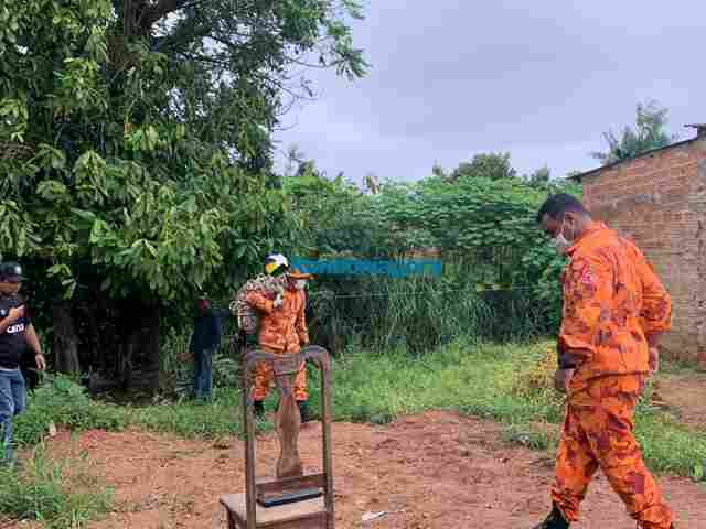 Corpo de homem com corte profundo no pescoço é encontrado em córrego na zona leste da capital