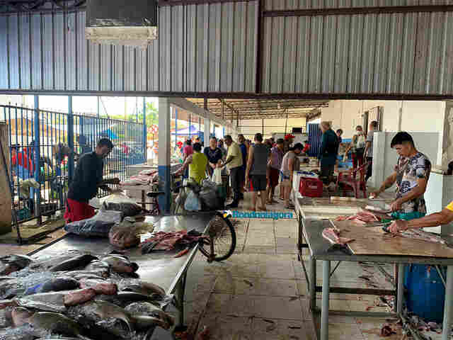Semana Santa: Mercado do Peixe tem procura intensa com preços a partir de R$ 10