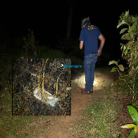 Pescador encontra corpo carbonizado próximo a lago na capital