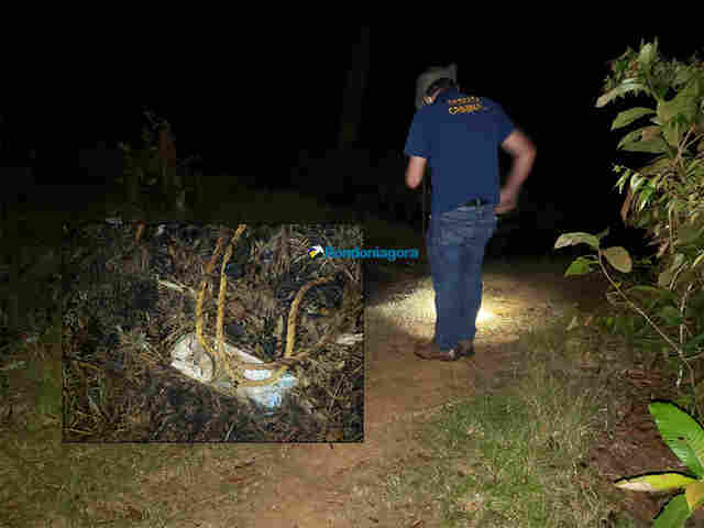 Pescador encontra corpo carbonizado próximo a lago na capital