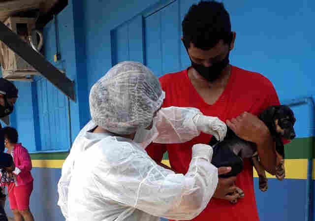 Responsáveis por mais de 10 animais domésticos podem solicitar a vacinação agendada