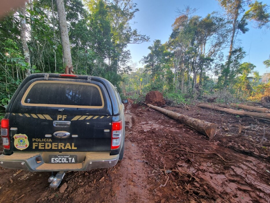 PF combate crimes ambientais na terra indígena Uru Eu-Wau-Wau em Rondônia