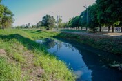 Projeto piloto transformará o Parque Jardim das Mangueiras em área de proteção ambiental