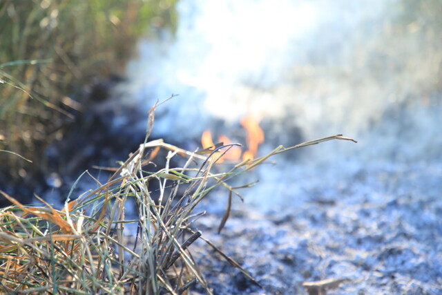 Prefeitura de Porto Velho intensifica fiscalização contra queimadas