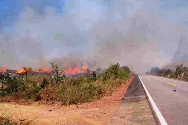 Campanha de prevenção às queimadas reforça a importância da educação ambiental