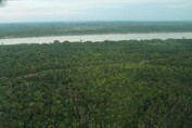 MP consegue reverter na Justiça extinção do Parque Ilha das Flores e a redução da Reserva Limoeiro
