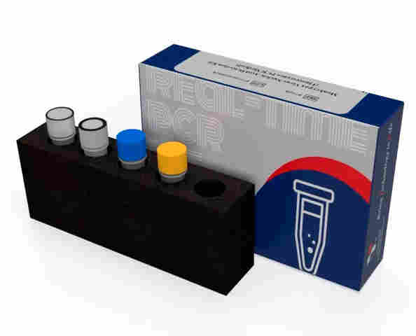 Anvisa recebe pedido de registro para teste de varíola dos macacos