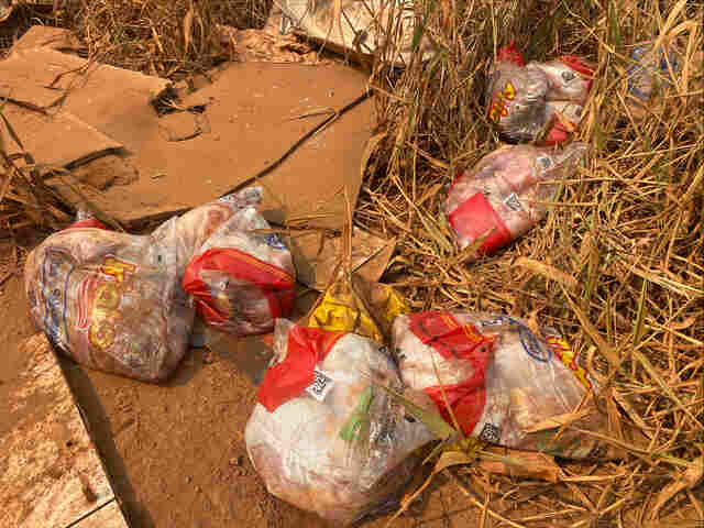 Moradores da Zona Leste denunciam descarte de carne podre em terreno baldio
