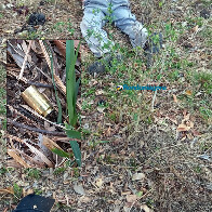 Gerente de fazenda executado em Mutum-Paraná sofreu emboscada com outros dois funcionários