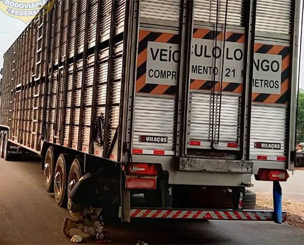 PRF apreende três veículos roubados no final de semana em Rondônia