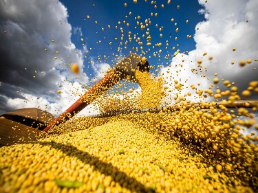 Produção de grãos é recorde na safra 2021/22 estimada em 271,2 milhões de toneladas,