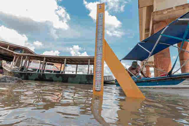 Baixo nível: Madeira registra 1,94 metro em Porto Velho