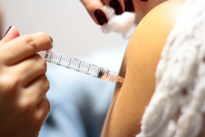 Vacinação contra febre amarela é fundamental antes do período mais crítico para transmissão