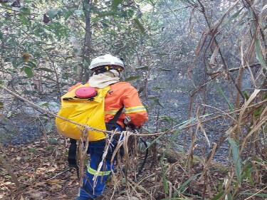 Operação Verde intensifica ações contra as queimadas em Rondônia