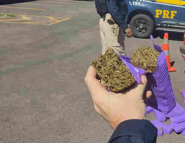 Passageira de ônibus que saiu do Paraná é presa em Rondônia com 15 quilos de maconha