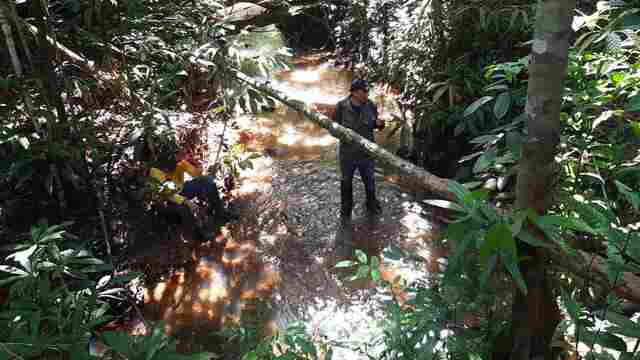 Trilha da Caverna é reativada no Parque Natural da capital