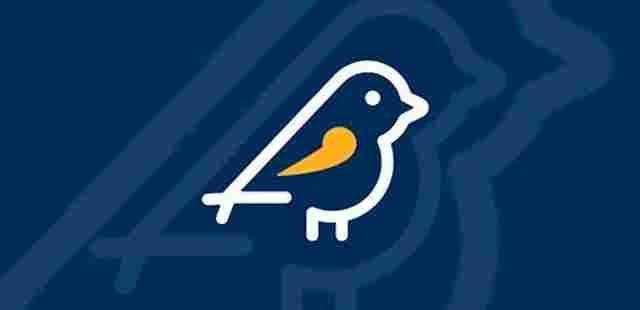 Pardal registra quase 38 mil denúncias relativas às Eleições 2022
