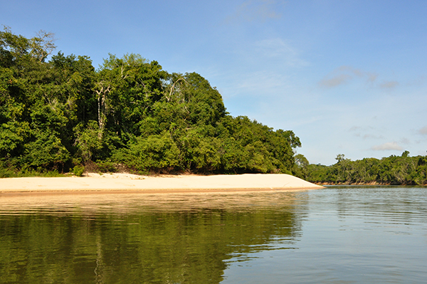 Rondônia apresenta ações de fomento à economia verde na COP-27