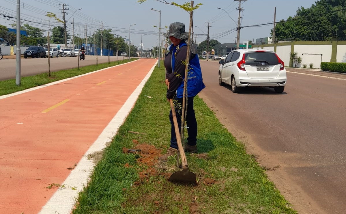 Prefeitura inicia Plano de Arborização com reposição de mudas em ciclovias