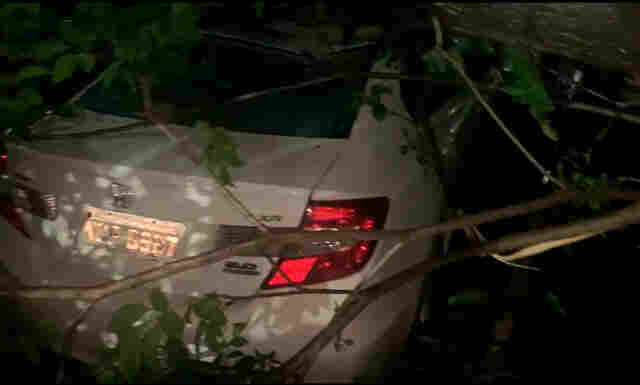 Vídeo: árvore cai em cima de carro durante temporal em Porto Velho
