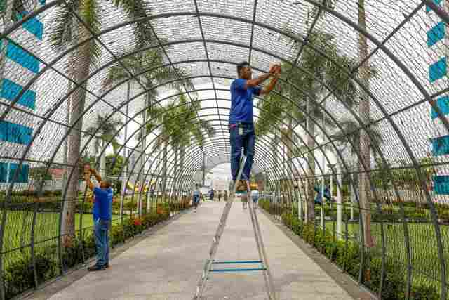 Decoração do Natal de Luz do Governo terá quase dois milhões pontos de iluminação