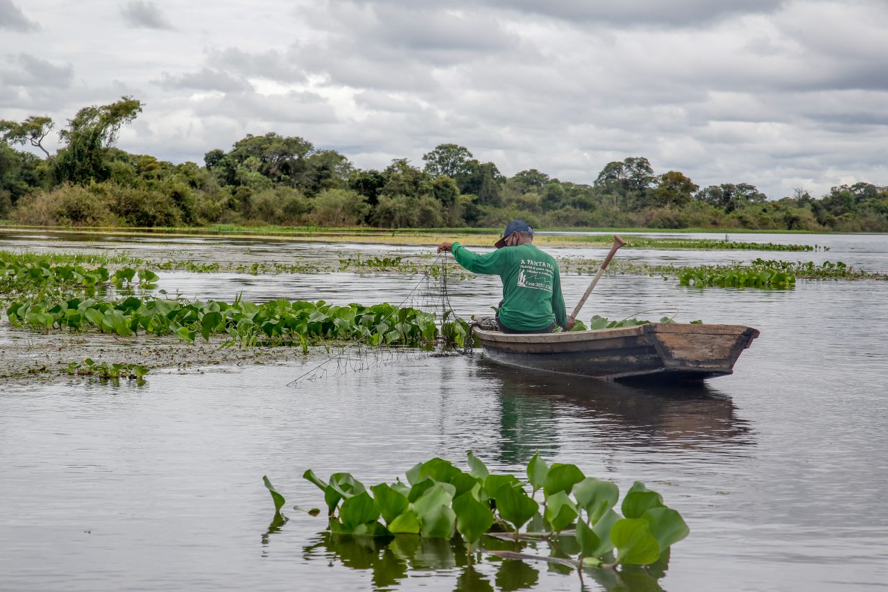 Período do defeso de várias espécies de peixes segue nos rios de Rondônia