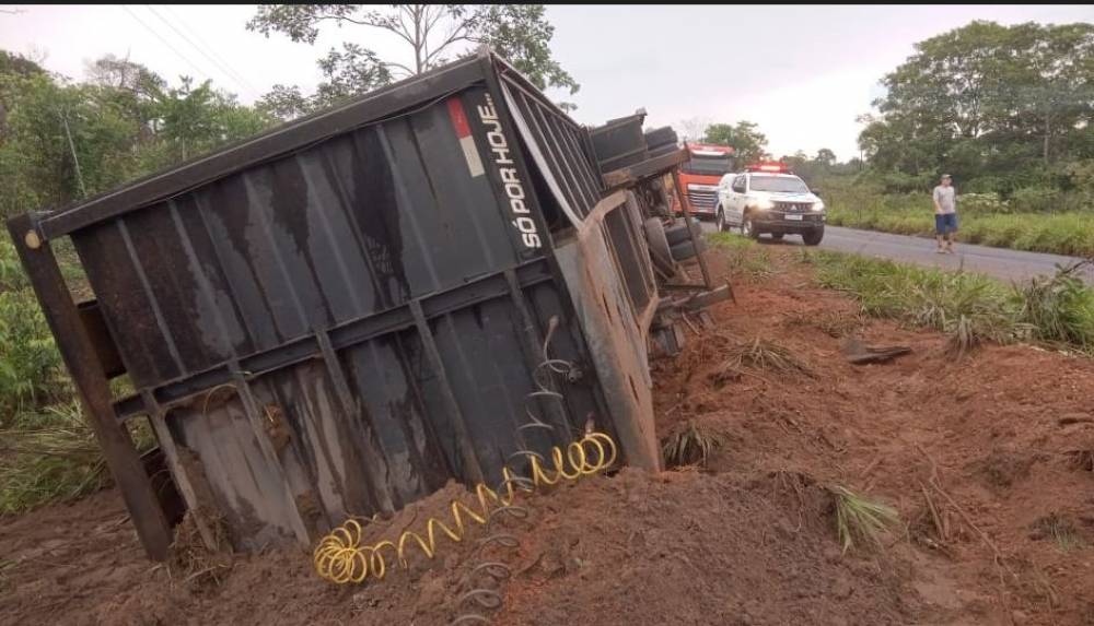 Motorista morre após carreta carregada de bois tombar em rodovia estadual