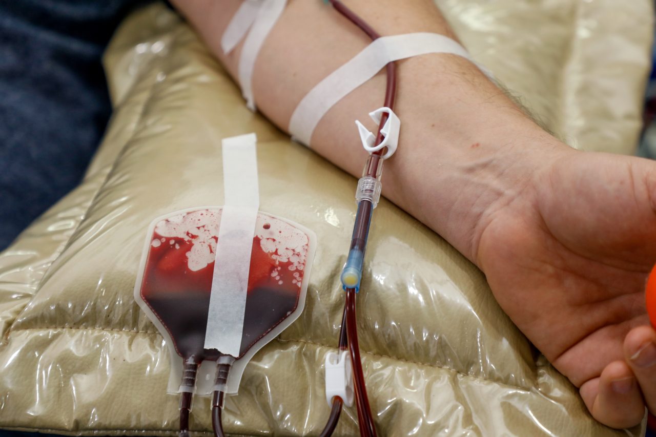 Fhemeron faz apelo por doações de sangue neste final de ano