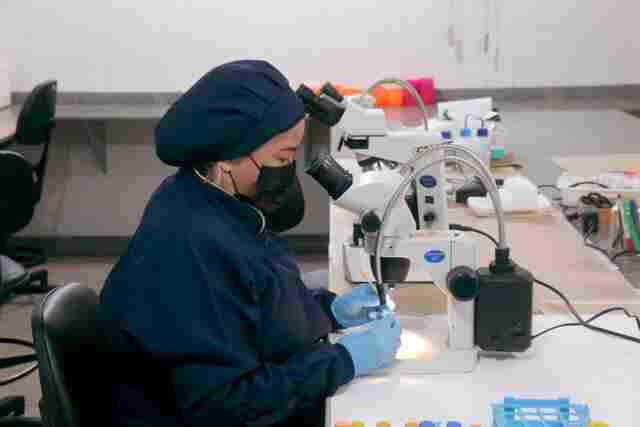 Lacen orienta população sobre cuidados na prevenção contra a febre maculosa
