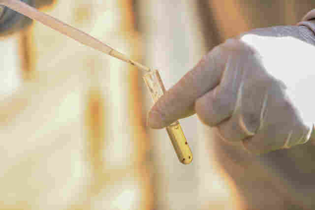 Ações de combate à malária são reforçadas em Porto Velho