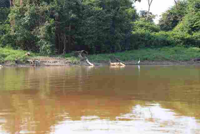 Defesa Civil monitora nível do rio Madeira e faz vistoria técnica em comunidades ribeirinhas

