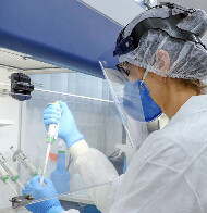 Covid-19 já matou 7.428 pessoas em Rondônia; casos reduziram 60% esse ano