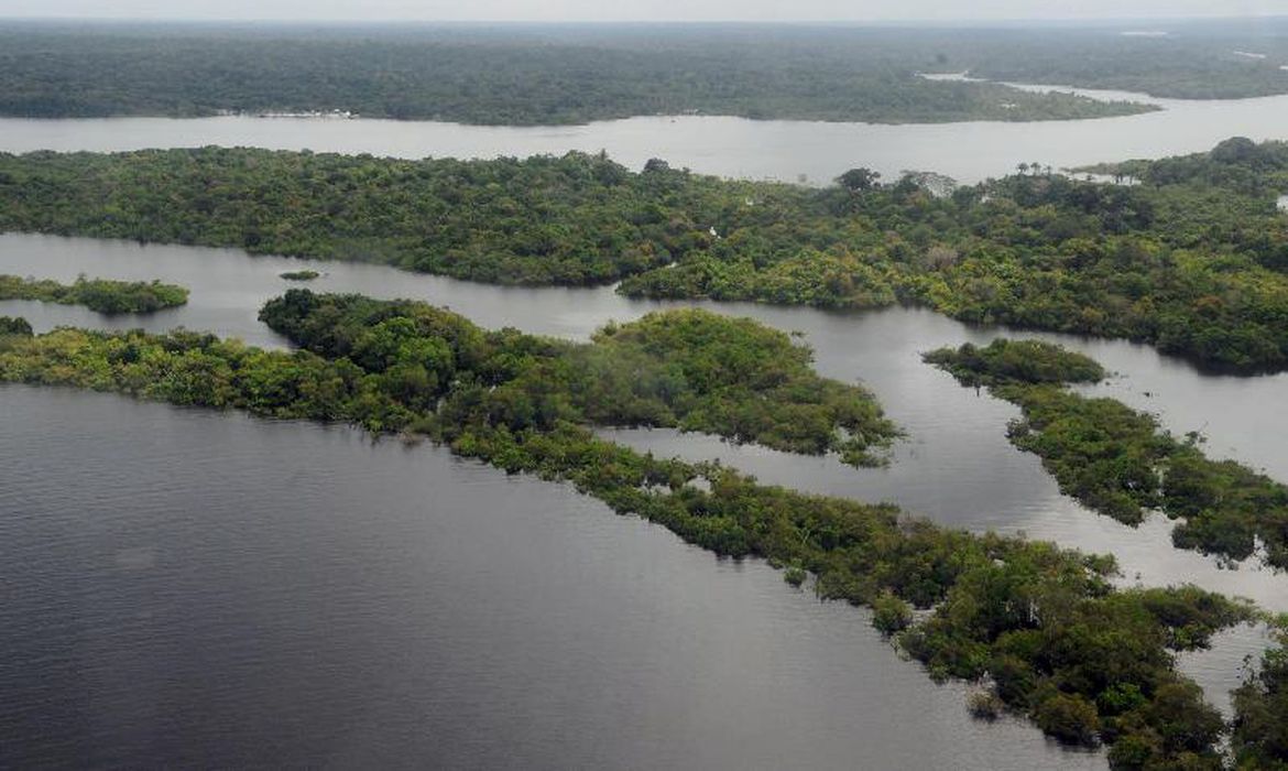 Estados da Amazônia Legal terão plano de segurança interinstitucional
