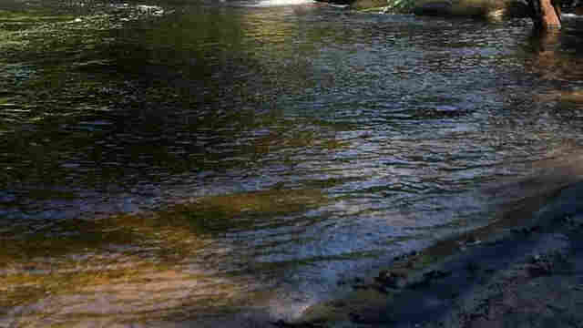 Vaqueiro desaparece nas águas de lago em Nova Mutum Paraná